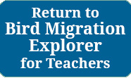 bird migration explorer for teachers button