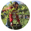 native bees for kids