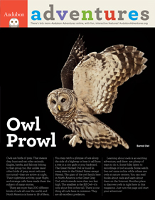 Kid's newspaper download