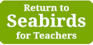 return to seabirds for teachers