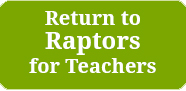 Return to Raptors for Teachers