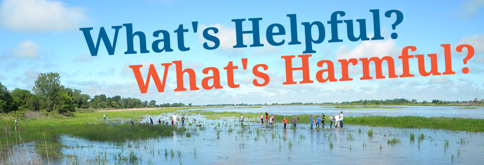 What's Helpful? What's Harmful?